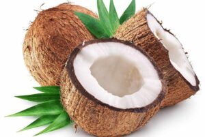 WhatsApp Image 2024-08-28 at 2.38.24 PM