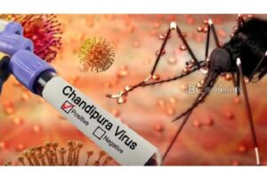 WhatsApp Image 2024-08-30 at 1.13.21 PM