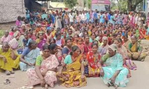 WhatsApp Image 2024-08-30 at 12.52.02 PM