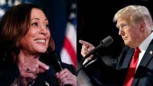 WhatsApp Image 2024-08-31 at 1.30.03 PM