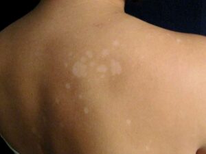 WhatsApp Image 2024-08-31 at 10.39.23 AM (1)