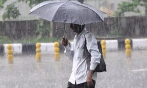 WhatsApp Image 2024-08-31 at 2.55.38 PM