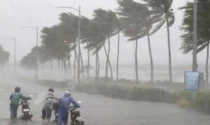 WhatsApp Image 2024-08-31 at 3.28.47 PM