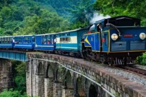 WhatsApp Image 2024-09-02 at 11.48.54 AM