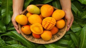 WhatsApp Image 2024-09-02 at 2.16.54 PM