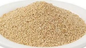 WhatsApp Image 2024-09-02 at 2.19.00 PM