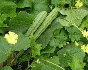 WhatsApp Image 2024-09-02 at 2.20.01 PM