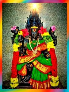 WhatsApp Image 2024-09-04 at 10.28.18 AM