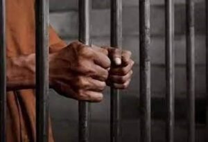 WhatsApp Image 2024-09-04 at 10.54.02 AM