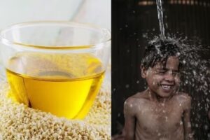 WhatsApp Image 2024-09-04 at 11.55.04 AM