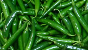 WhatsApp Image 2024-09-04 at 12.05.32 PM