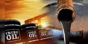 WhatsApp Image 2024-09-05 at 11.38.03 AM