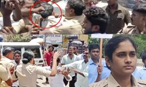 WhatsApp Image 2024-09-05 at 12.20.48 PM