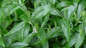 WhatsApp Image 2024-09-05 at 12.37.27 PM