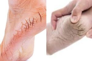 WhatsApp Image 2024-09-06 at 10.34.35 AM