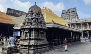 WhatsApp Image 2024-09-06 at 11.58.05 AM