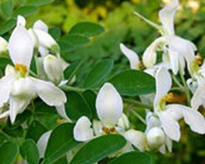 WhatsApp Image 2024-09-10 at 5.05.10 PM