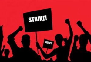 WhatsApp Image 2024-09-11 at 11.51.31 AM