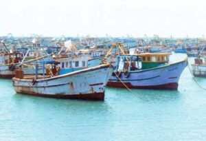 WhatsApp Image 2024-09-12 at 3.57.19 PM