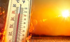 WhatsApp Image 2024-09-14 at 11.29.40 AM