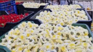 WhatsApp Image 2024-09-14 at 11.56.00 AM