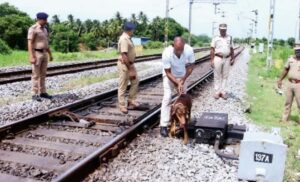 WhatsApp Image 2024-09-16 at 11.34.32 AM