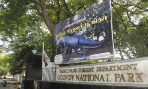 WhatsApp Image 2024-09-17 at 11.47.03 AM