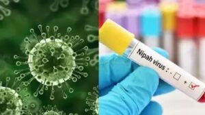 WhatsApp Image 2024-09-17 at 4.08.52 PM