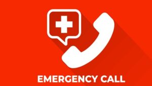 WhatsApp Image 2024-09-21 at 1.06.06 PM