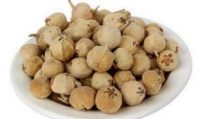 WhatsApp Image 2024-09-23 at 12.28.42 PM