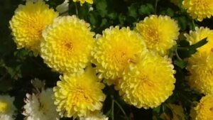 WhatsApp Image 2024-09-23 at 12.30.26 PM