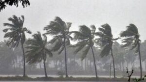 WhatsApp Image 2024-09-24 at 11.14.37 AM