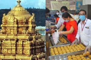 WhatsApp Image 2024-09-24 at 11.23.30 AM