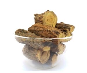 WhatsApp Image 2024-09-26 at 11.41.05 AM