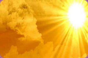 WhatsApp Image 2024-09-26 at 11.46.50 AM