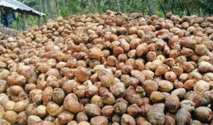 WhatsApp Image 2024-09-27 at 11.55.56 AM