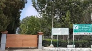 WhatsApp Image 2024-09-27 at 11.57.19 AM