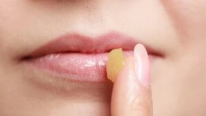 WhatsApp Image 2024-09-27 at 11.59.31 AM