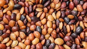 WhatsApp Image 2024-09-27 at 12.44.05 PM