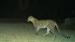 WhatsApp Image 2024-09-30 at 10.55.54 AM