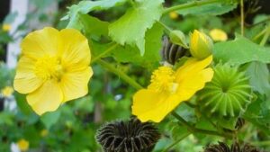 WhatsApp Image 2024-09-30 at 12.14.32 PM