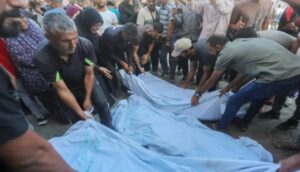 WhatsApp Image 2024-10-03 at 11.39.06 AM