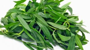 WhatsApp Image 2024-10-04 at 11.26.59 AM