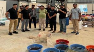 WhatsApp Image 2024-10-07 at 11.10.08 AM