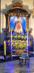 WhatsApp Image 2024-10-07 at 8.43.25 AM