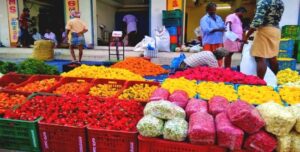 WhatsApp Image 2024-10-10 at 12.14.51 PM