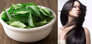 WhatsApp Image 2024-10-12 at 10.43.48 AM