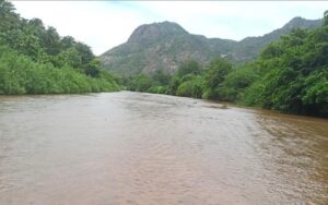 WhatsApp Image 2024-10-12 at 11.49.04 AM