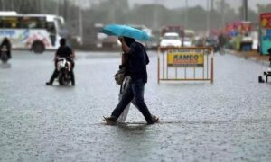 WhatsApp Image 2024-10-14 at 11.42.29 AM