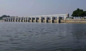 WhatsApp Image 2024-10-14 at 11.58.24 AM